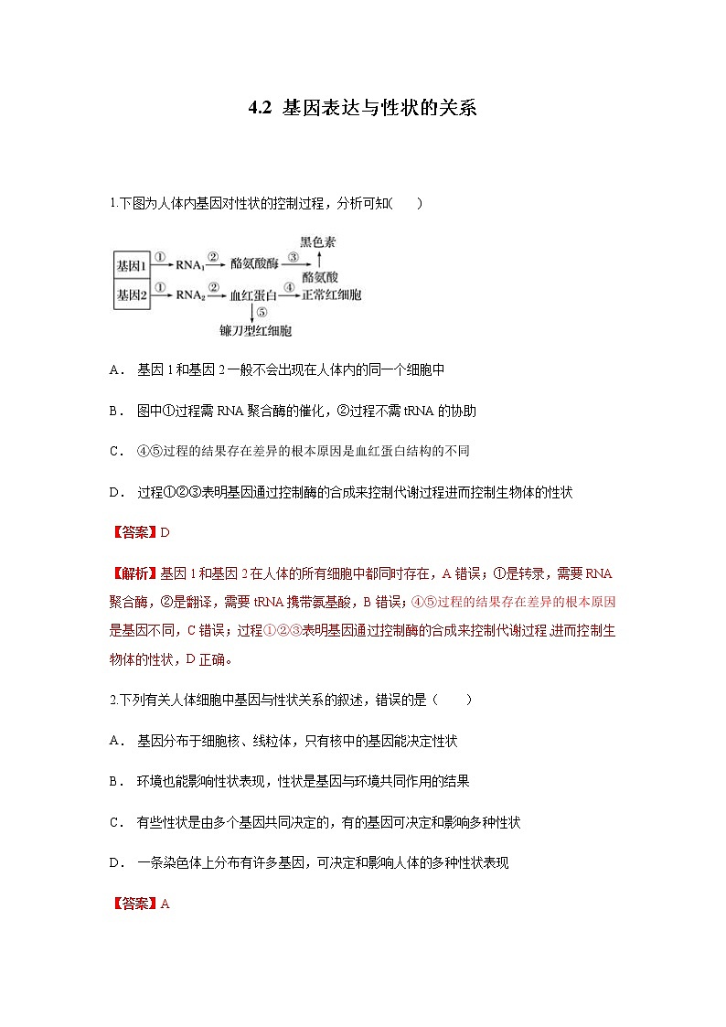 【新教材精创】4.2 基因表达与性状的关系 练习（1）（解析版）第1页