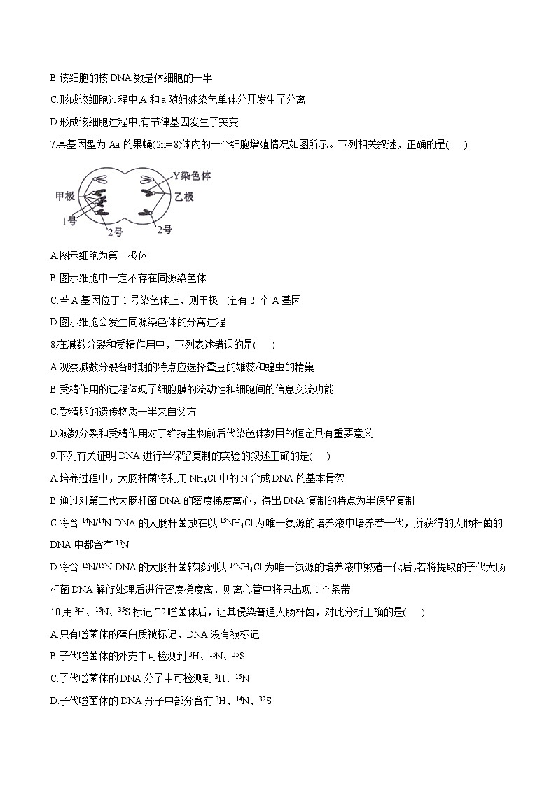 学易金卷：2019-2020学年高一生物下学期期末测试卷01（新教材必修二）02
