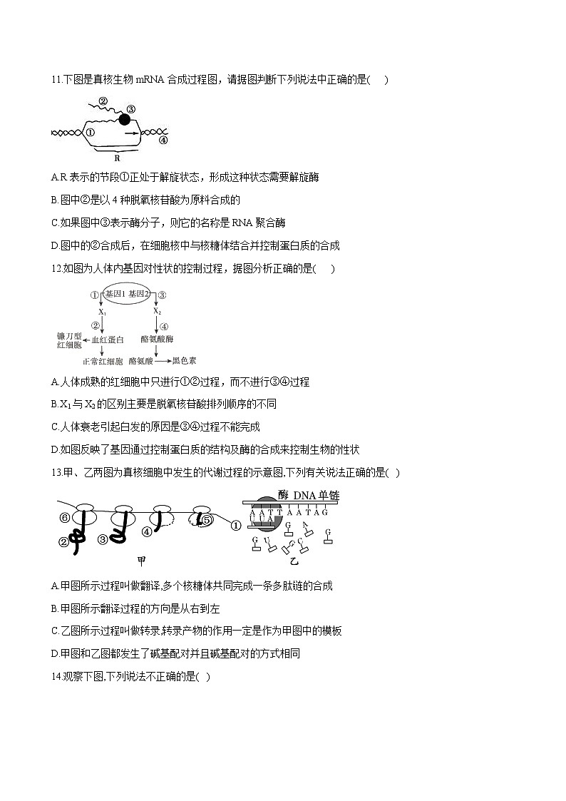 学易金卷：2019-2020学年高一生物下学期期末测试卷01（新教材必修二）03