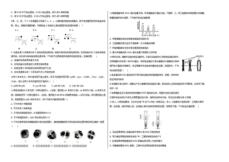 学易金卷：2020-2021学年高一生物下学期期末测试卷（人教版2019必修2）03（考试版）第2页