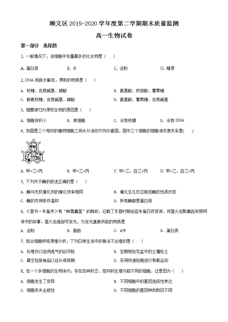 精品解析：北京市顺义区2019-2020学年高一下学期期末质量监测生物试题（原卷版）第1页