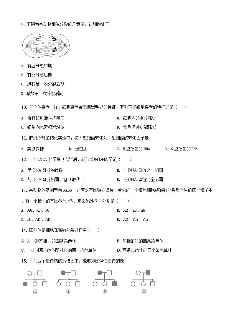 精品解析：北京市顺义区2019-2020学年高一下学期期末质量监测生物试题（原卷版）第2页