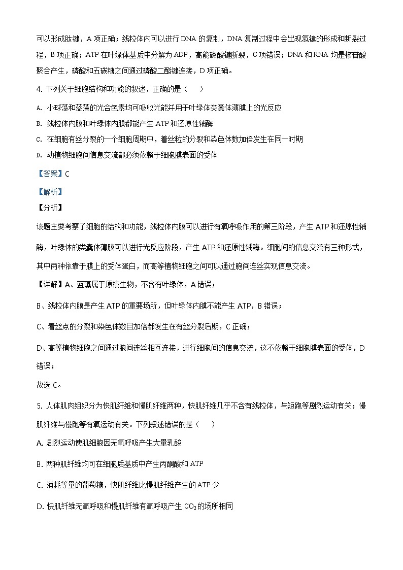 精品解析：辽宁省大连市辽宁师大附中2019-2020学年高一下学期期末生物试题（解析版）第3页