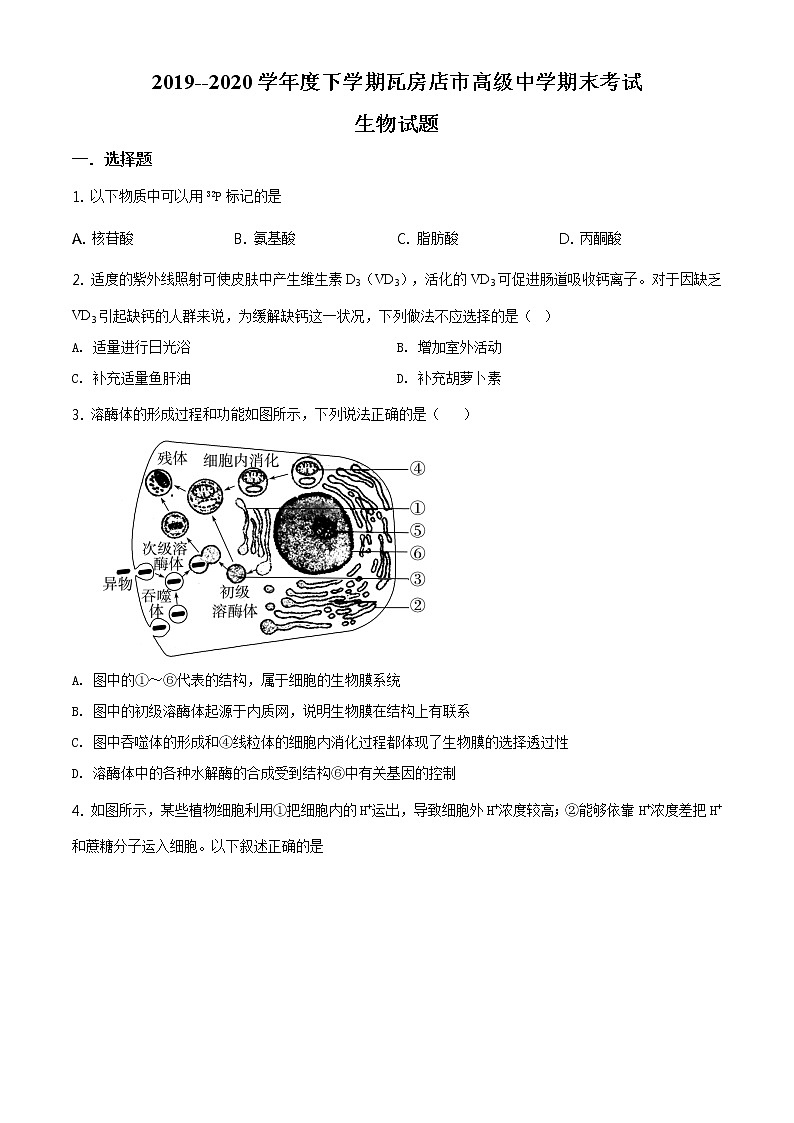 精品解析：辽宁省大连市瓦房店市高级中学2019-2020学年高一下学期期末生物试题（原卷版）第1页