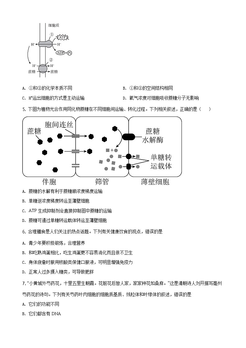 精品解析：辽宁省大连市瓦房店市高级中学2019-2020学年高一下学期期末生物试题（原卷版）第2页