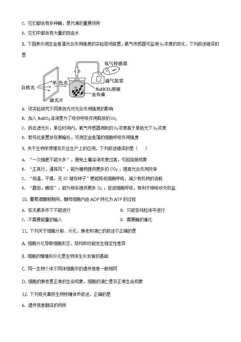 精品解析：辽宁省大连市瓦房店市高级中学2019-2020学年高一下学期期末生物试题（原卷版）第3页