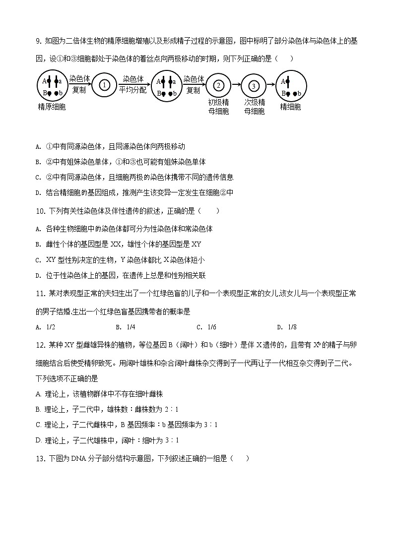 精品解析：辽宁省多校联盟2019-2020学年高一下学期期末生物试题（原卷版）第3页