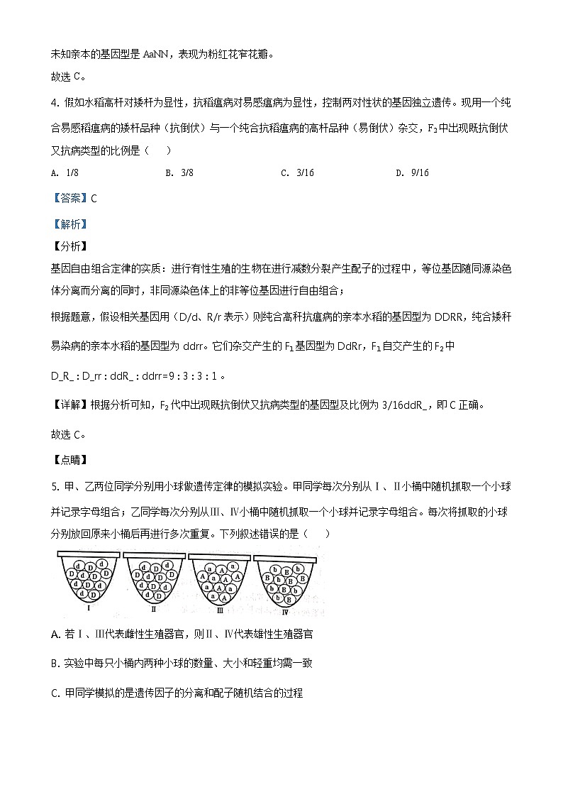 精品解析：辽宁省多校联盟2019-2020学年高一下学期期末生物试题（解析版）第3页
