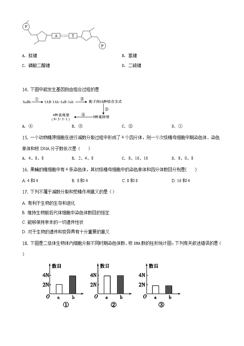 精品解析：辽宁省阜新市二中2019-2020学年高一下学期期末生物试题03