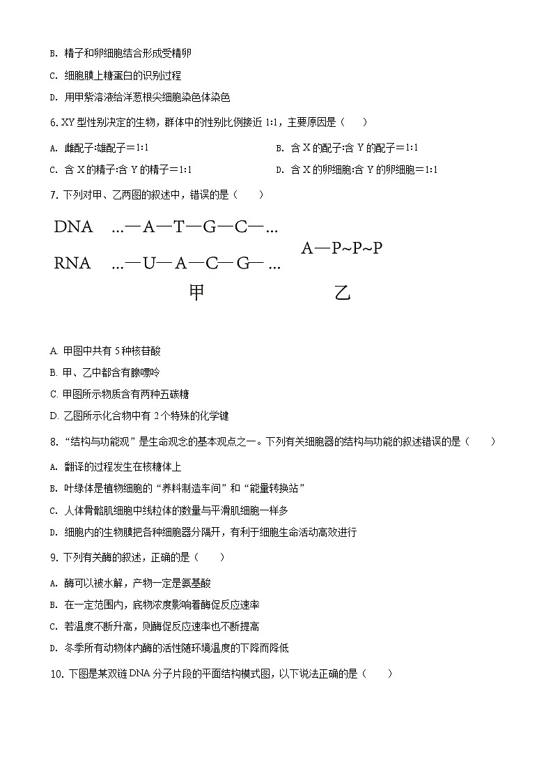精品解析：辽宁省葫芦岛市2019-2020学年高一下学期期末生物试题02