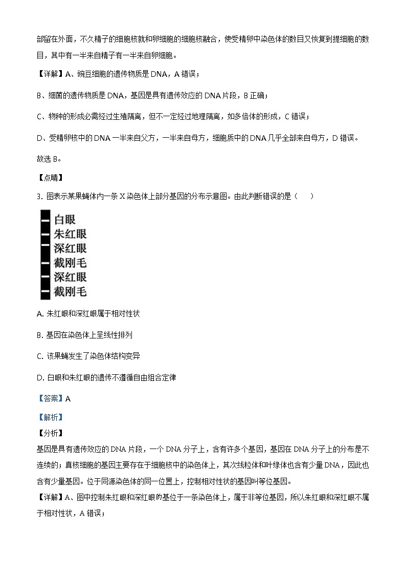 精品解析：山东省德州市2019-2020学年高一下学期期末生物试题02
