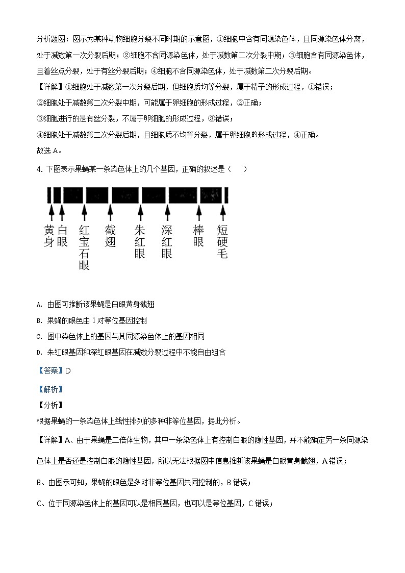 精品解析：山东省临沂市2019-2020学年高一下学期期末生物试题（解析版）第3页