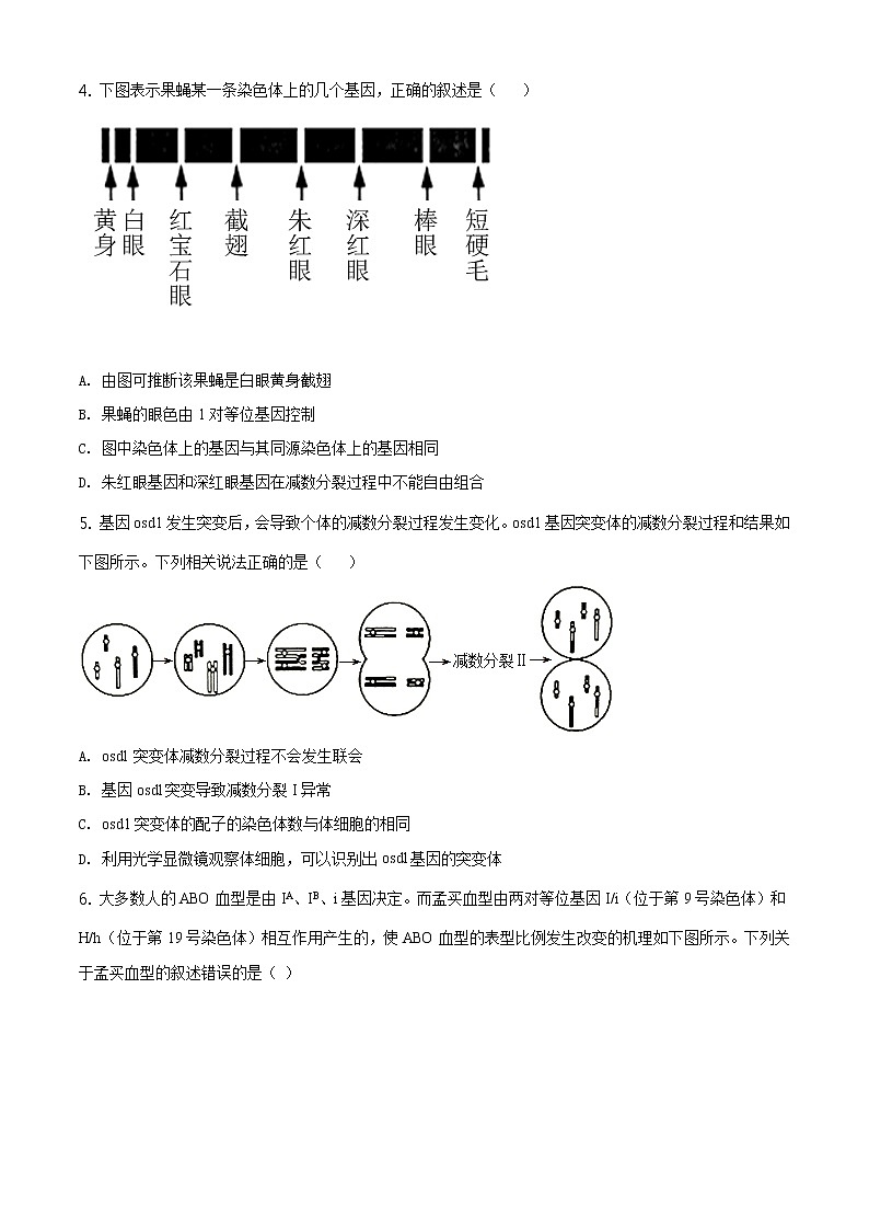 精品解析：山东省临沂市2019-2020学年高一下学期期末生物试题（原卷版）第2页