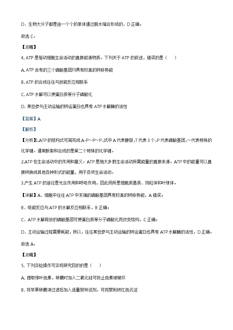 精品解析：山东省日照市2019-2020学年高一下学期期末生物试题（解析版）第3页