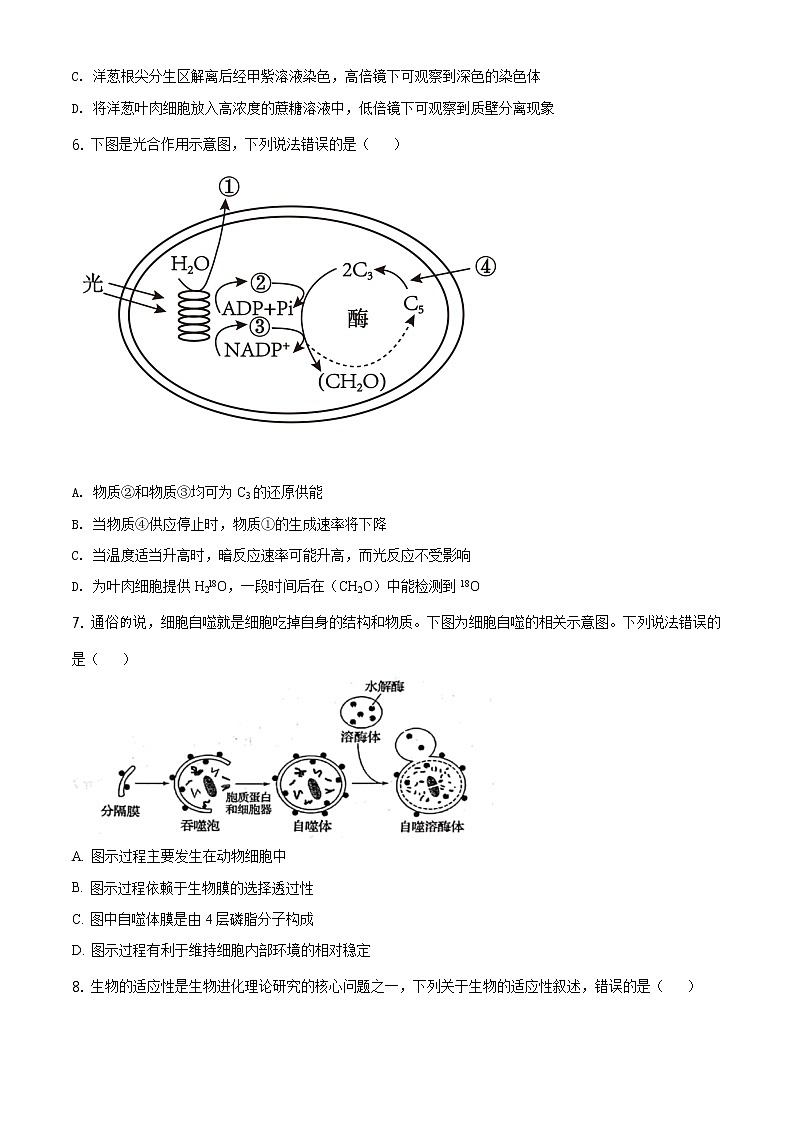 精品解析：山东省日照市2019-2020学年高一下学期期末生物试题（原卷版）第2页