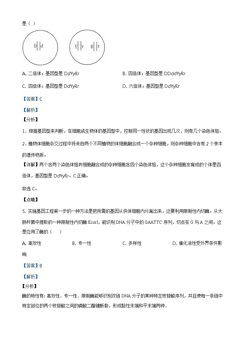 精品解析：山东省泰安市新泰市二中2019-2020学年高一下学期期末生物试题03