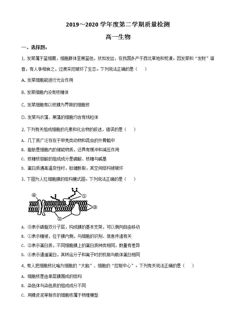 精品解析：山东省枣庄市2019-2020学年高一下学期期末生物试题01