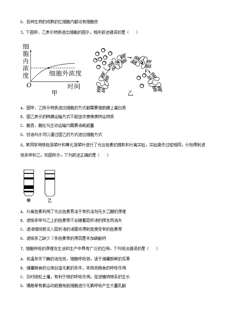 精品解析：山东省枣庄市2019-2020学年高一下学期期末生物试题02
