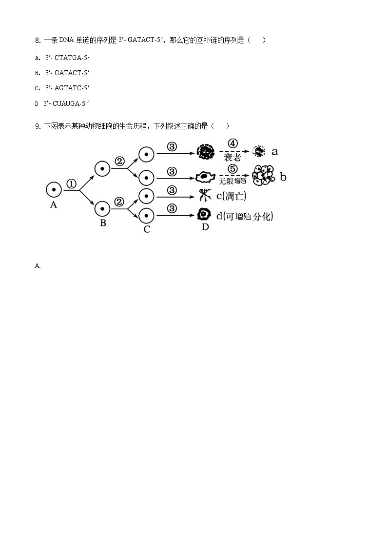 精品解析：山东省枣庄市2019-2020学年高一下学期期末生物试题03