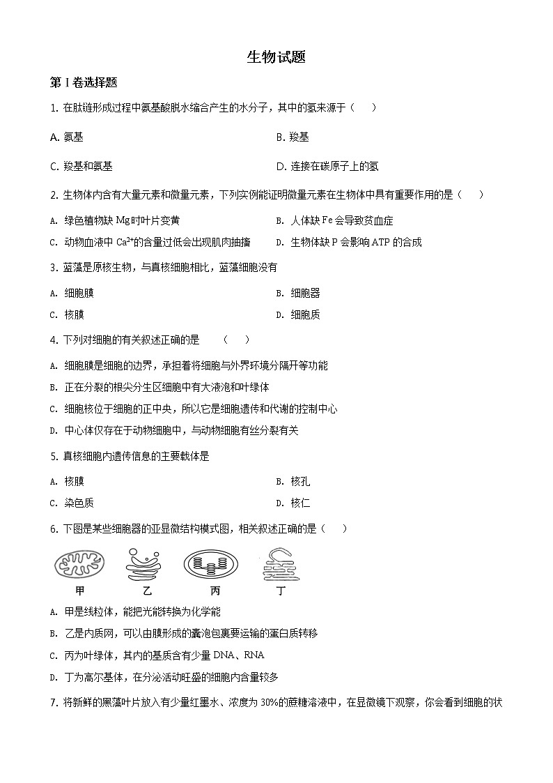 精品解析：天津市滨海新区大港太平村中学2019-2020学年高一下学期期末质量检测生物试题01