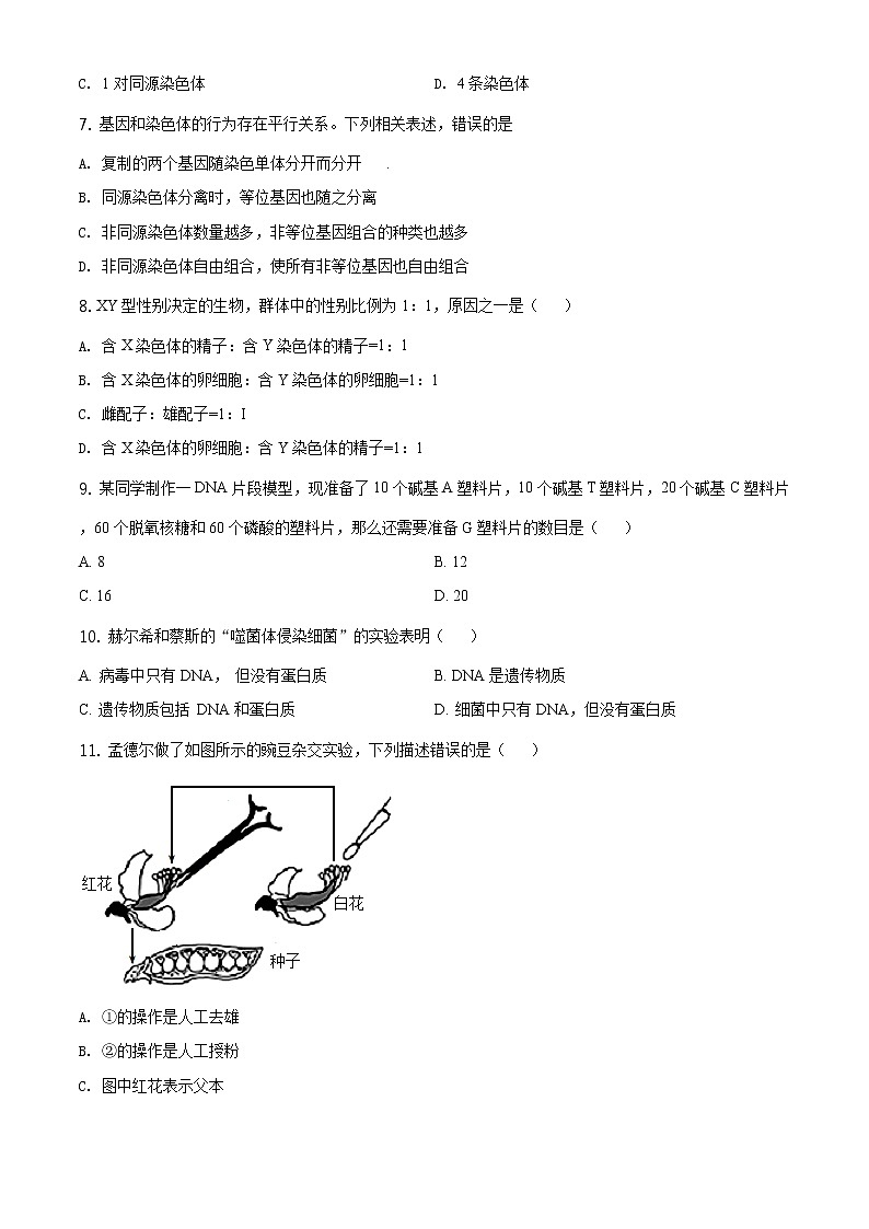 精品解析：天津市部分区2019-2020学年高一下学期期末生物试题02
