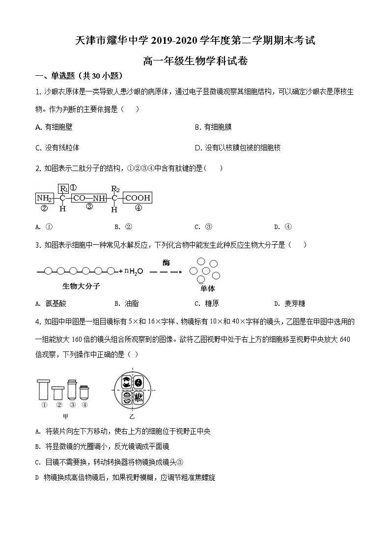 精品解析：天津市耀华中学2019-2020学年高一下学期期末生物试题01