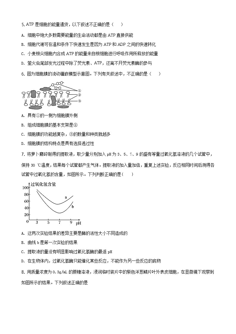 精品解析：天津市耀华中学2019-2020学年高一下学期期末生物试题02