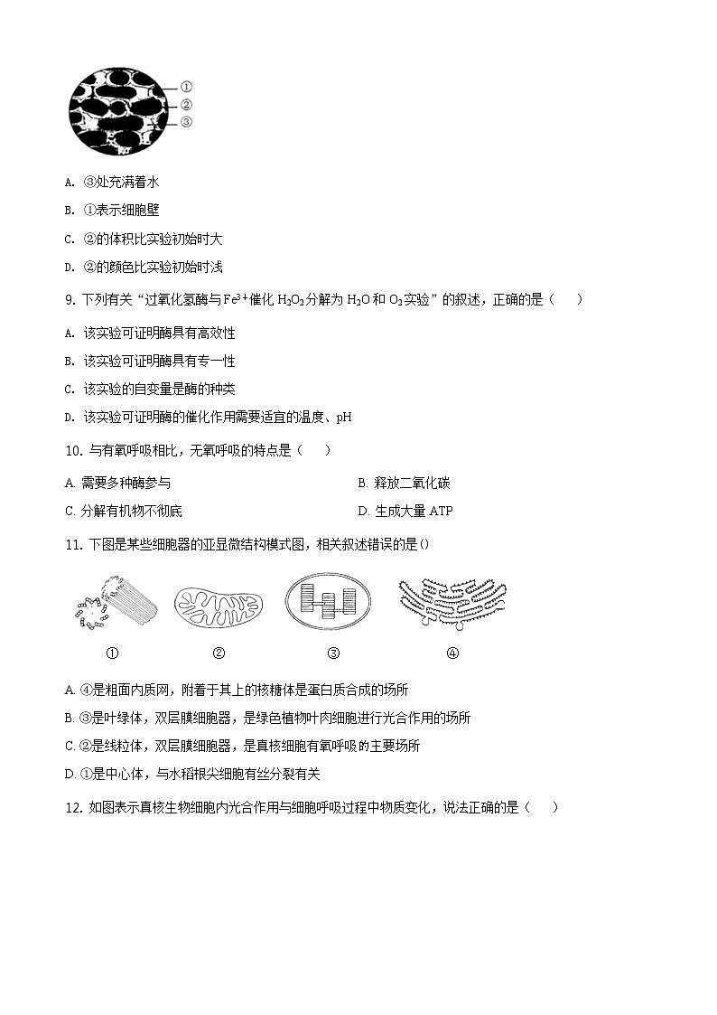 精品解析：天津市耀华中学2019-2020学年高一下学期期末生物试题03
