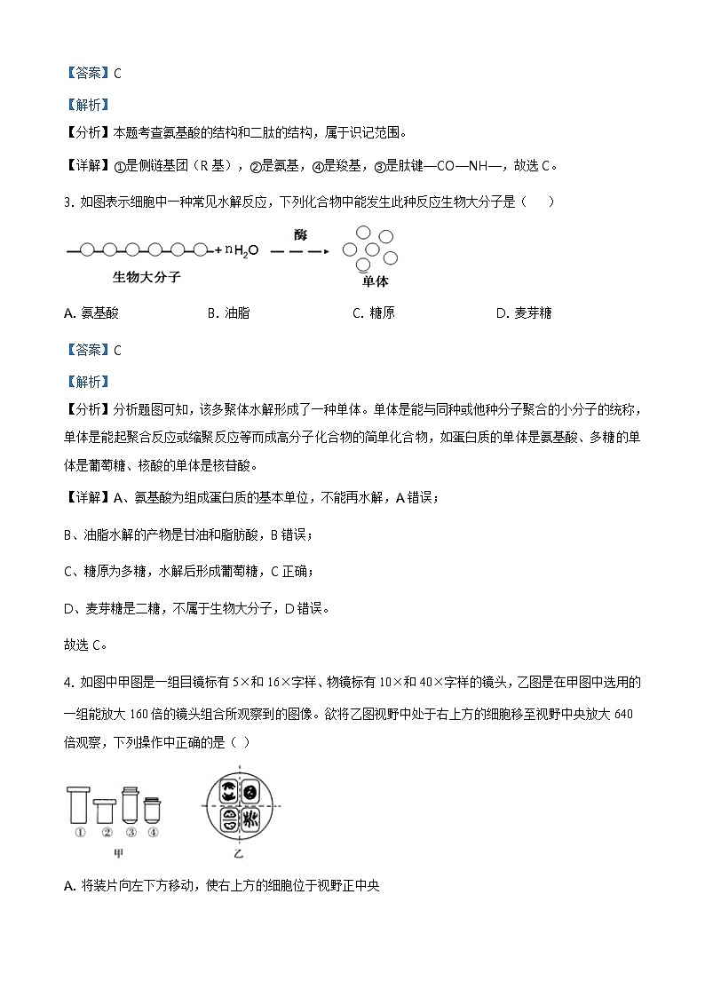 精品解析：天津市耀华中学2019-2020学年高一下学期期末生物试题02