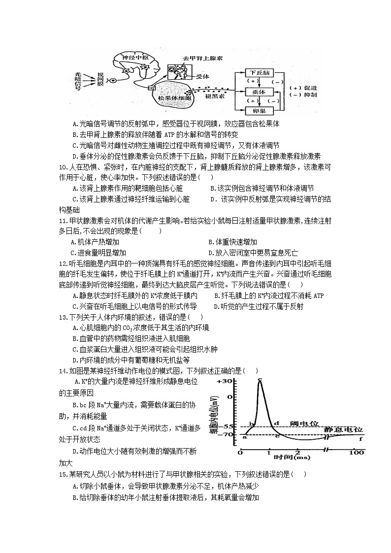 广东省茂名市第五中学2021-2022学年高二上学期期中考试生物试卷第3页