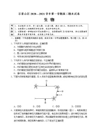 石景山区2020-2021学年第一学期高二期末生物试卷