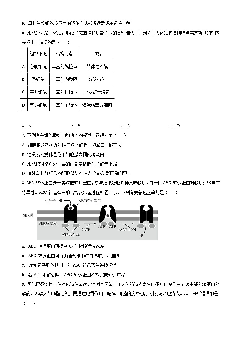 精品解析：山东省淄博市2020-2021学年高二下学期期末生物试题02