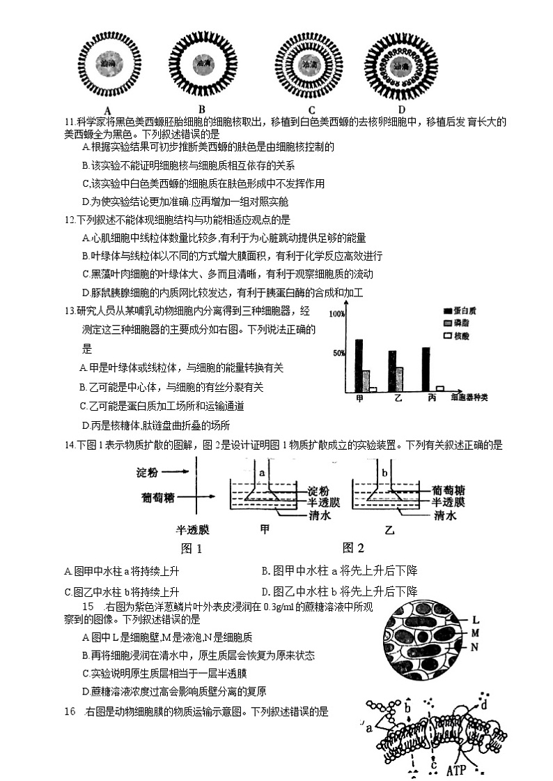 福建省三明市2022-2023学年高一生物上学期期末质量检测试题（Word版附答案）第3页