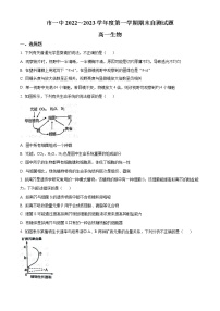 2023鄂尔多斯一中高一上学期期末生物试题含答案