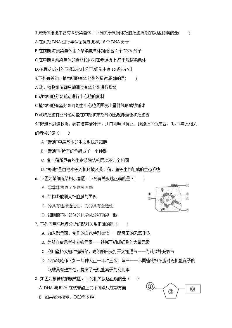 2022-2023学年广东省高一上期末测试生物试题第2页