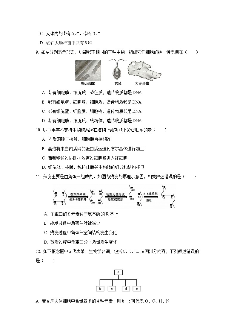 2022-2023学年广东省高一上期末测试生物试题第3页