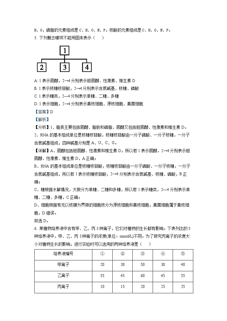 2022-2023学年湖北省武汉市武昌实验中学高一12月月考生物试题03