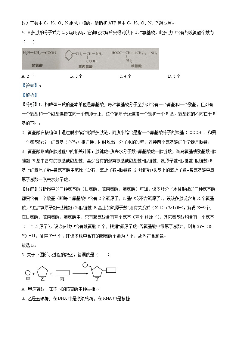 2022-2023学年湖南省衡阳市耒阳市二中高一上学期期末生物试题（解析版）03