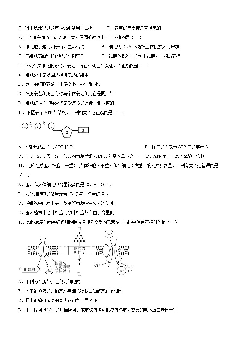 2022-2023学年四川省宜宾市叙州区二中高一上期期末模拟考试生物试题02