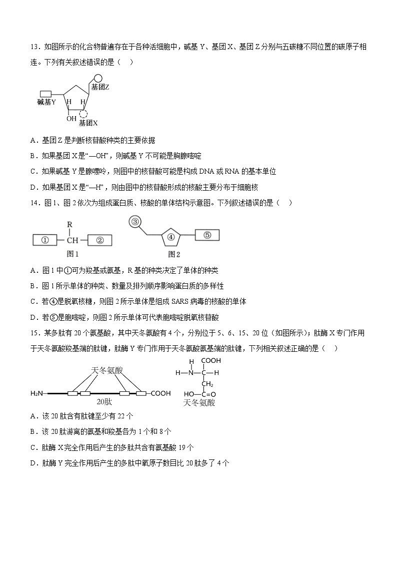 2022-2023学年四川省宜宾市叙州区二中高一上期期末模拟考试生物试题03