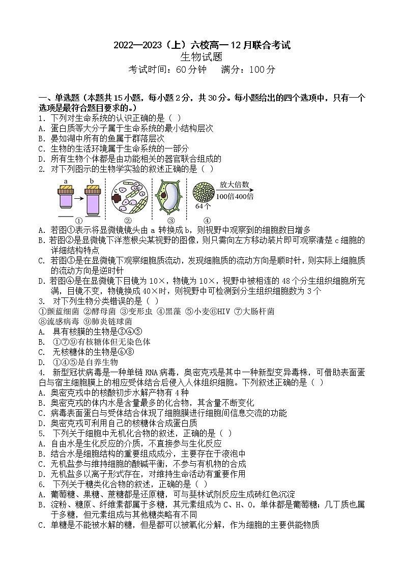 辽宁省丹东市六校2022-2023学年高一上学期12月联合考试生物试卷01
