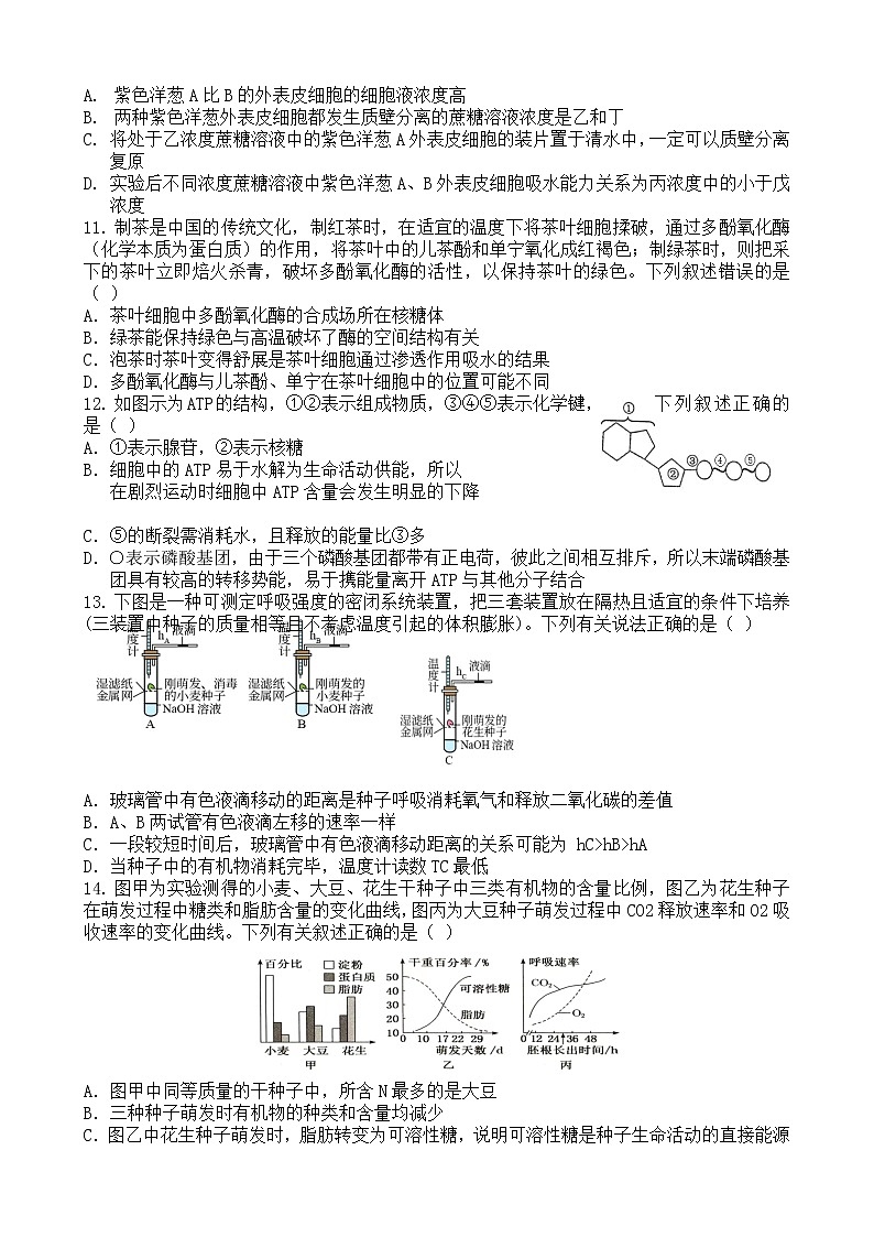 辽宁省丹东市六校2022-2023学年高一上学期12月联合考试生物试卷03