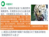 1.1 种群的数量特征（精编课件+同步练习）精编高二生物同步备课系列（人教版2019选择性必修2）