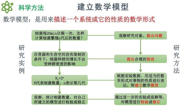 1.2 种群数量的变化（精编课件+同步练习）精编高二生物同步备课系列（人教版2019选择性必修2）04