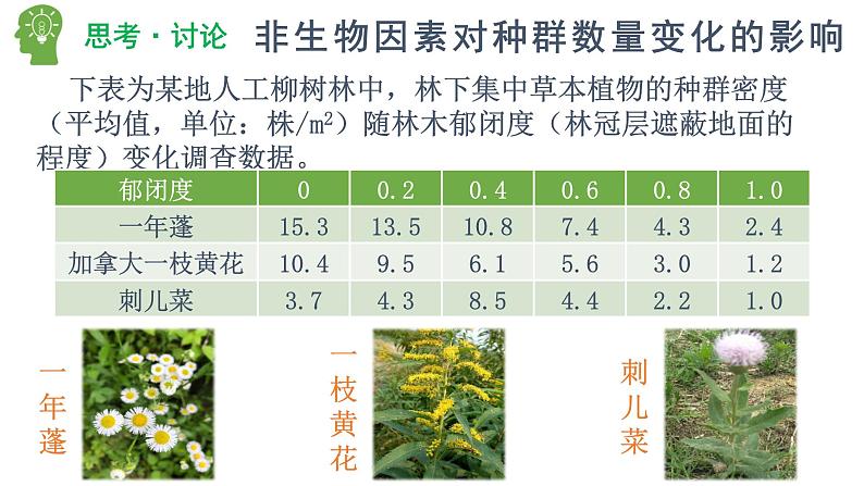 1.3 影响种群数量变化的因素（精编课件+同步练习）精编高二生物同步备课系列（人教版2019选择性必修2）06