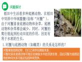 2.1.1 群落的结构（精编课件+同步练习）精编高二生物同步备课系列（人教版2019选择性必修2）