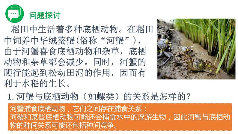 2.1.1 群落的结构（精编课件+同步练习）精编高二生物同步备课系列（人教版2019选择性必修2）03