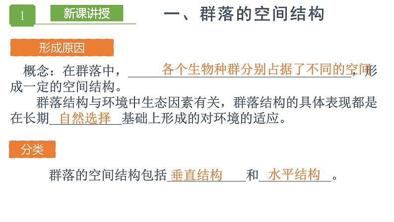 2.1.2 群落的结构（精编课件+同步练习）精编高二生物同步备课系列（人教版2019选择性必修2）03