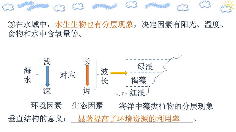 2.1.2 群落的结构（精编课件+同步练习）精编高二生物同步备课系列（人教版2019选择性必修2）08