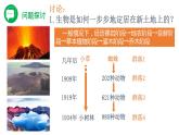 2.3 群落的演替（精編課件+同步練習）精編高二生物同步備課系列（人教版2019選擇性必修2）